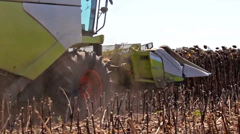 Combine harvester 스톡 동영상 44496940