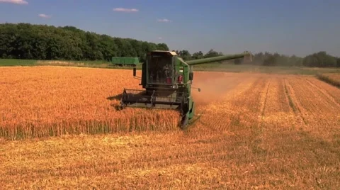 Combine harvester Video stock 45757530
