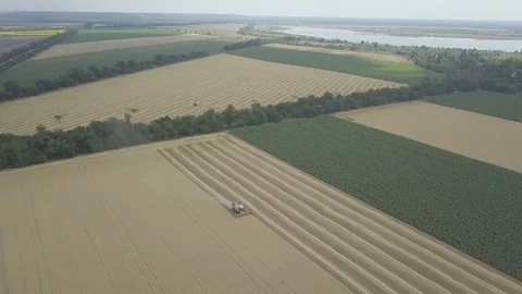 Combine harvester Stock Footage 92024145
