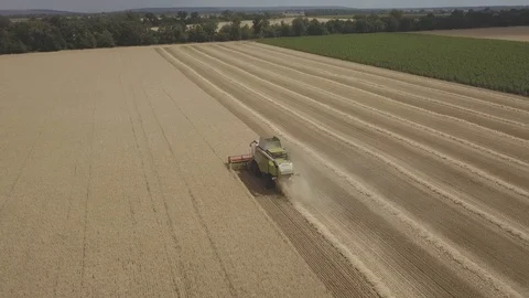 Combine harvester Stock Footage 92024491
