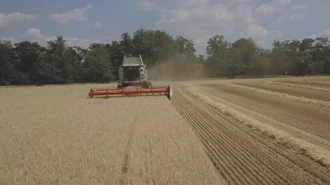Combine harvester Stock Footage 92024661