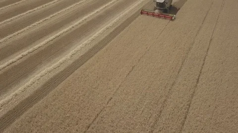 Combine harvester Video stock 92024713