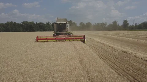 Combine harvester Stock Footage 92025344
