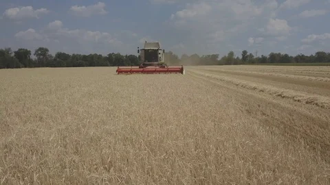 Combine harvester Stock Footage 92025415