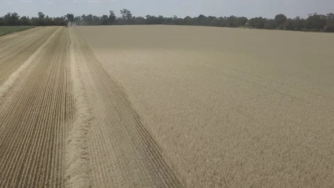 Combine harvester Stock Footage 92025436