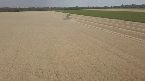 Combine harvester Stock Footage 92025911
