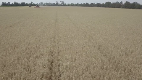 Combine harvester Video stock 92025953