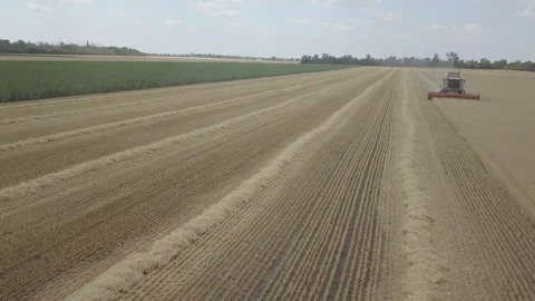 Combine harvester Stock Footage 92026031