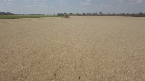 Combine harvester Video stock 92026140