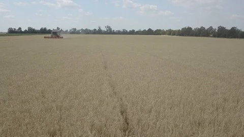 Combine harvester Stock Footage 92026186