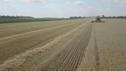 Combine harvester Stock Footage 92026298