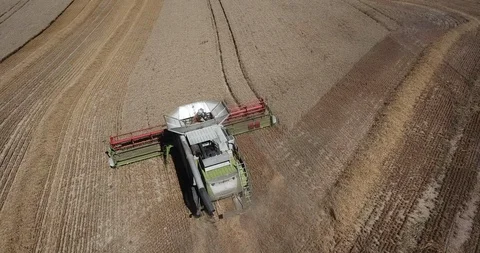 Combine harvester Stock Footage 93207638