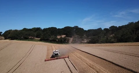 Combine harvester Stock Footage 93207646