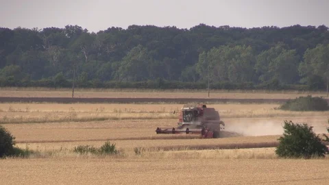 Combine Harvester Video stock 93503415