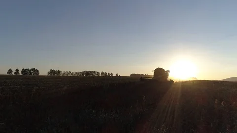 Combine harvester Stock Footage 98458570