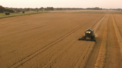 Combine harvester Vídeo Stock 109447514