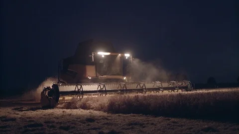 Combine Harvester Vidéo 111346166