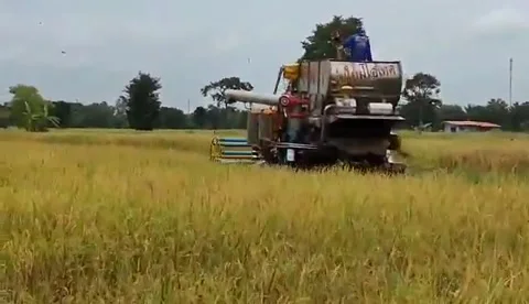 Combine harvester Stock Footage 164886912