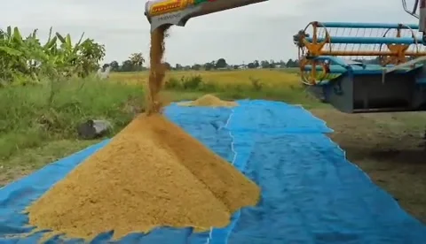 Combine harvester Stock Footage 164886932