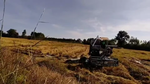 Combine harvester Stock Footage 164888475