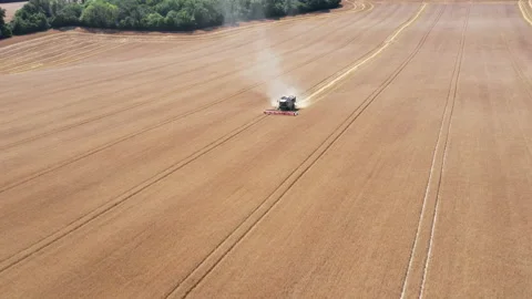 Combine harvester 動画素材 168416015