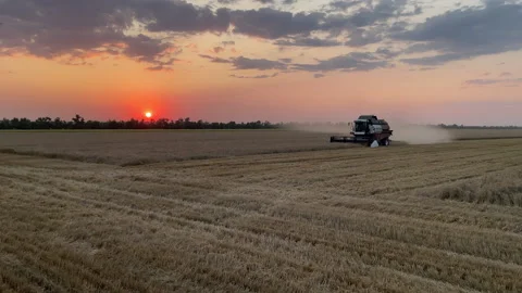 Combine Harvester Stock Footage 232485844