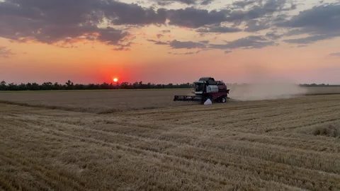 Combine Harvester Stock Footage 232486190