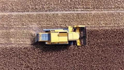 Combine harvester Stock Footage 342109189