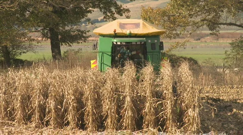 Combine harvester front on Stock Footage 736356