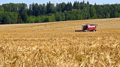 Combine harvester front in wheat field Stock Footage 82188702