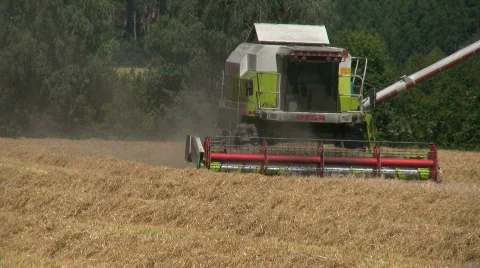 Combine Harvester gathers the wheat crop Stock Footage