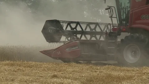 Combine harvester gathers the wheat crop Stock Footage