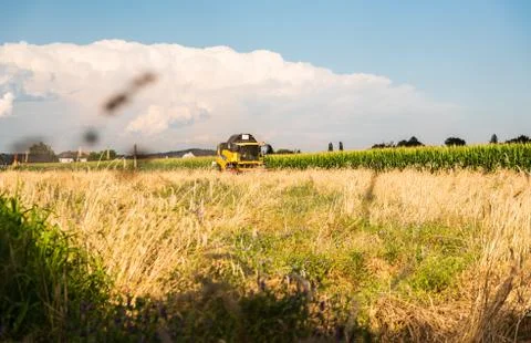 Combine harvester going through wheat field in rural area in Austria Stock Photos