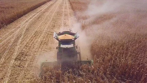 A Combine Harvester to Harvest Maize on the Field. View from Above. Agriculture Stock Footage