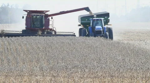 Combine Harvester Harvesting Soy Bean In A Dusty Field Loading To A Tractor Stock Footage
