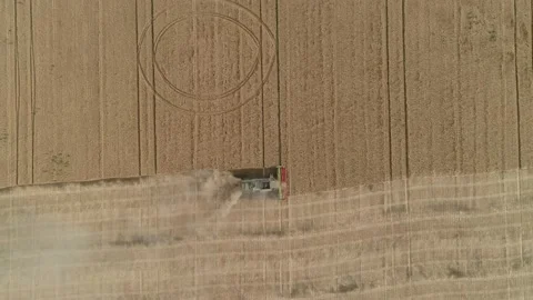 A combine harvester harvests wheat in cloudy weather. Top down view. 스톡 동영상 218978673
