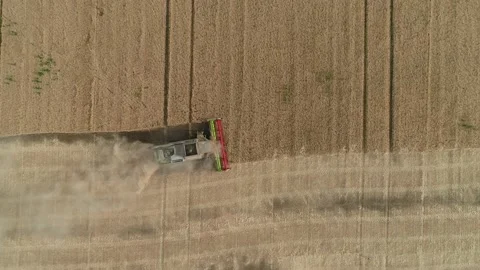 A combine harvester harvests wheat in cloudy weather. Top down view. Wide shot 스톡 동영상 218978689