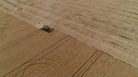 A combine harvester harvests wheat in cloudy weather. Diagonal composition. Wide 스톡 동영상 248050007