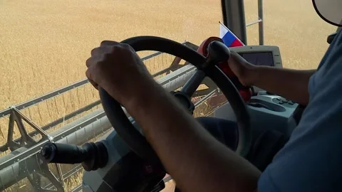 Combine harvester harvests wheat, view from the driver's cabin Stock Footage 146366547