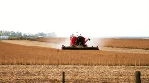 Combine Harvester HD Stock Footage 11148206