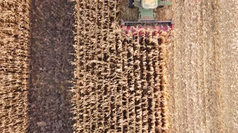 Combine harvester header Stock-Footage 165847691