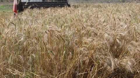 Combine Harvester Header Stock Footage 333987002