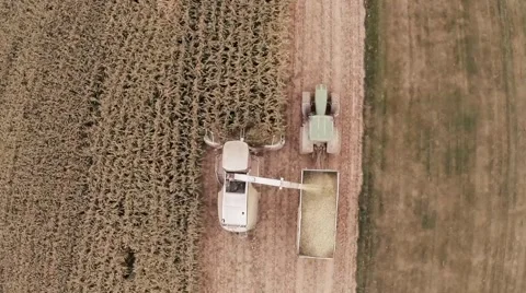 Combine Harvester (High Angle #1) Stock Footage 44306062