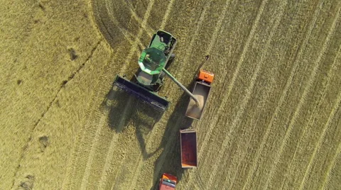 Combine Harvester John Deere Bulk grain in truck Vídeo Stock 54658193