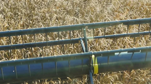 Combine Harvester John Deere Stock Footage 54663723