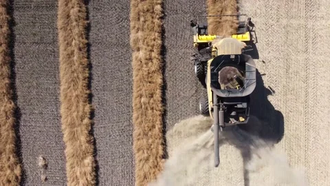 Combine Harvester looking down Video stock 163369068