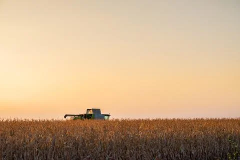 Combine harvester machine in corn field at sunset Fotos Stock