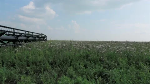 Combine harvester machine cutting wheat in field Stock Footage 48768951