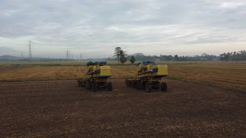 Combine harvester machine park in paddy field Stock Footage 150308962