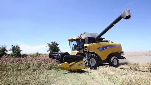 Combine Harvester machine at work Stock-Footage 81326107